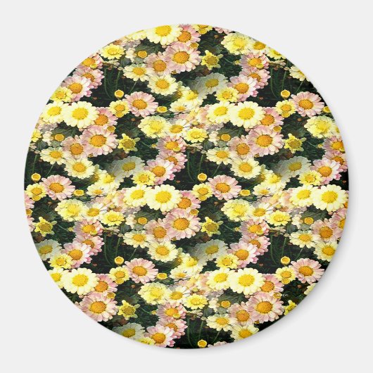Daisies Galore..... Magneet (Voorkant)