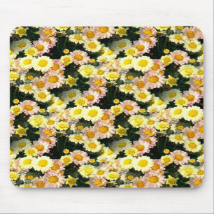 Daisies Galore...... Muismat