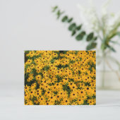Daisies-gebied Briefkaart (Staand voorkant)