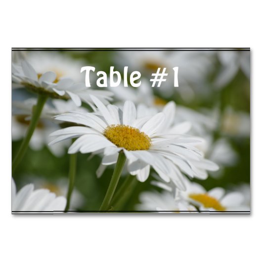 Daisies-gebied Kaart (Voorkant)
