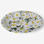 Daisies-gebied Papieren Bordje (Gekanteld)