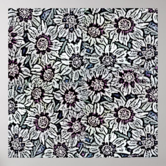 Daisies-gebied Poster (Voorkant)