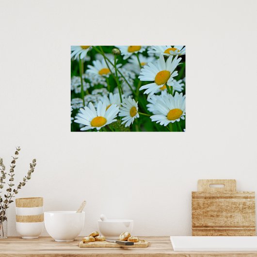 Daisies-gebied Poster (Keuken)