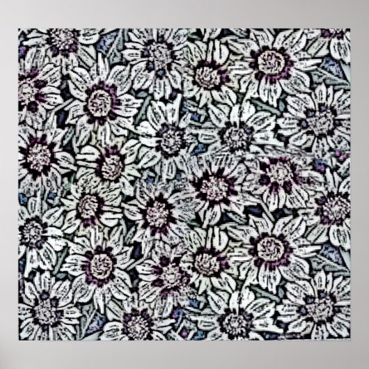 Daisies-gebied Poster (Voorkant)