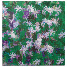 Daisies-gebied