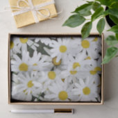 Daisies-gebied Tissuepapier (Geschenk)