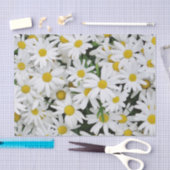Daisies-gebied Tissuepapier (Craft)