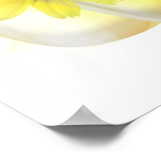 Daisies gereflecteerd - Fine Art Poster (Hoek)