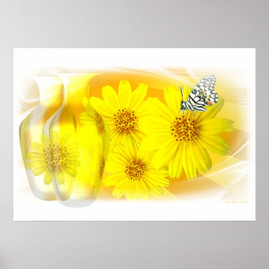 Daisies gereflecteerd - Fine Art Poster (Voorkant)