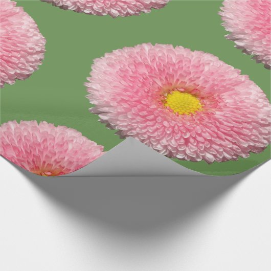 Daisies Glossy Wrapping Paper, 30 in x 6 ft Cadeaupapier (Hoek)