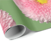 Daisies Glossy Wrapping Paper, 30 in x 6 ft Cadeaupapier (Rol Hoek)