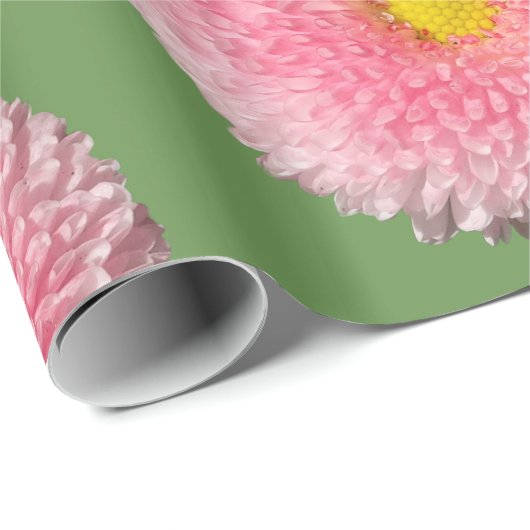 Daisies Glossy Wrapping Paper, 30 in x 6 ft Cadeaupapier (Rol Hoek)