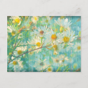 Daisies Grunge Briefkaart
