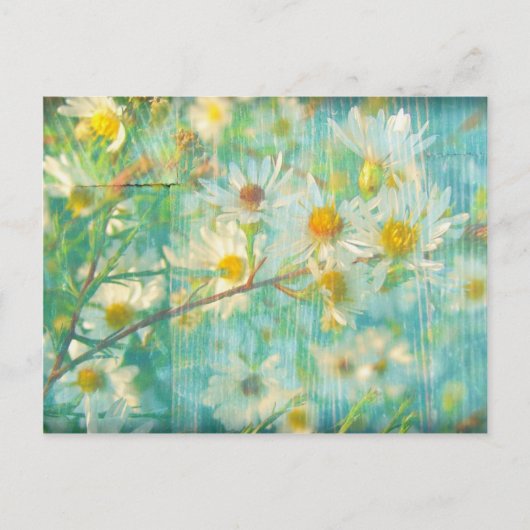 Daisies Grunge Briefkaart (Voorkant)