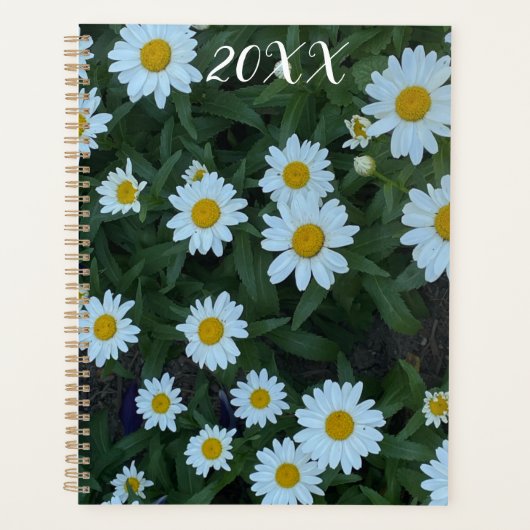Daisies In A Garden Planner (Voorkant)