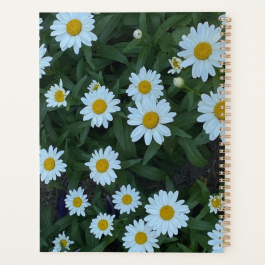 Daisies In A Garden Planner (Achterkant)