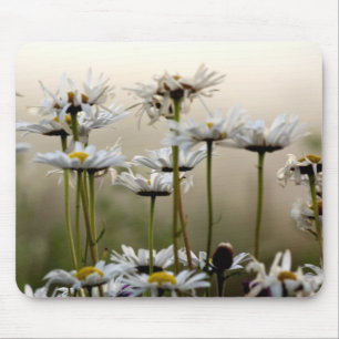 Daisies in de mist Muismat