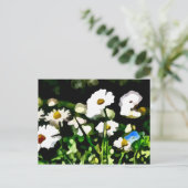 Daisies in het schilderij van Meadow Briefkaart (Staand voorkant)