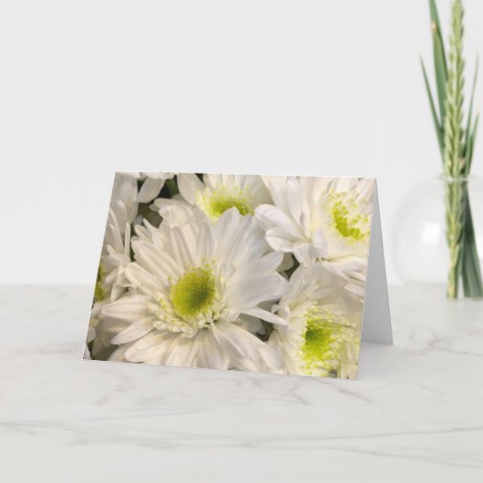 Daisies in het voorjaar kaart (Voorkant)