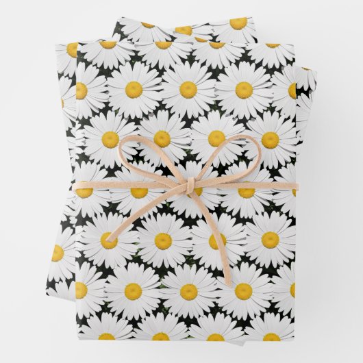 Daisies Inpakpapier Vel (In situ)