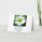 Daisies Kaart (Achterkant)