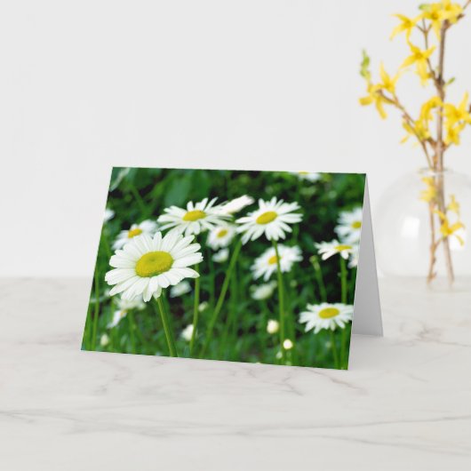 Daisies Kaart (Gele Bloem)
