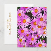 DAISIES KAART (Voorkant / Achterkant)