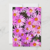 DAISIES KAART (Voorkant)