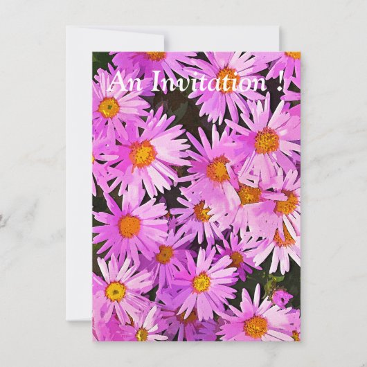 DAISIES KAART (Voorkant)