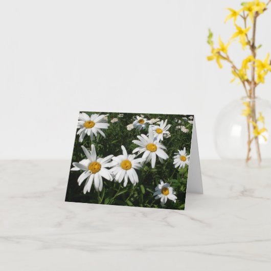 Daisies Kaart (Gele Bloem)