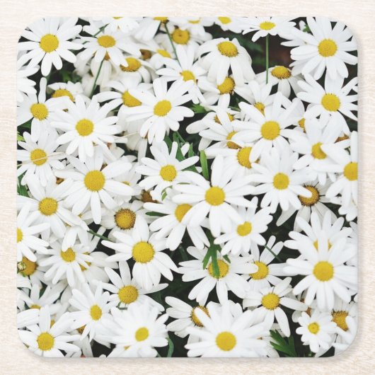 Daisies Kartonnen Onderzetters (Voorkant)