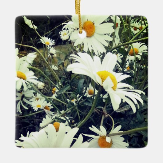 Daisies Keramisch Ornament (Voorkant)