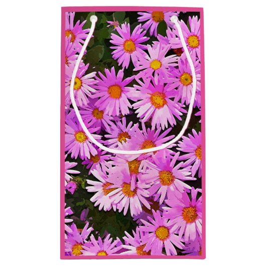 DAISIES KLEIN CADEAUZAKJE (Achterkant)