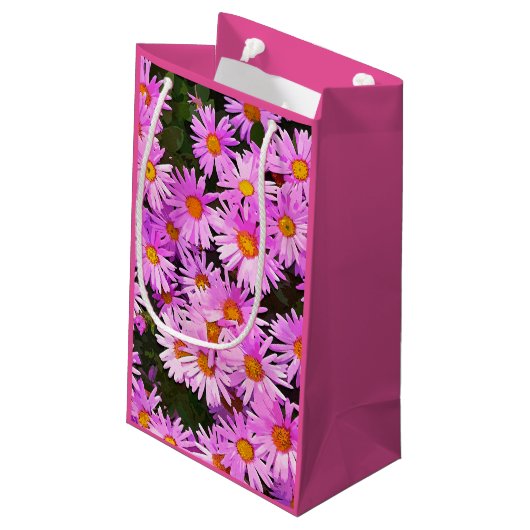 DAISIES KLEIN CADEAUZAKJE (Achterkant Gekanteld)