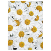 Daisies Klembord (Achterkant)