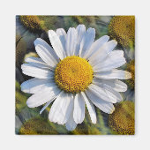 DAISIES MAGNEET (Voorkant)