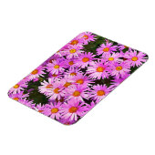 DAISIES MAGNEET (Linkerzijde)