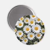 Daisies Magnet (Voorkant / Achterkant)