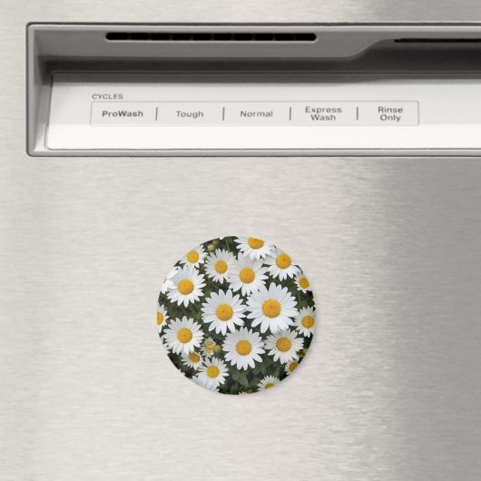 Daisies Magnet (Insitu (Vaatwasser))