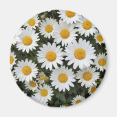 Daisies Magnet (Voorkant)