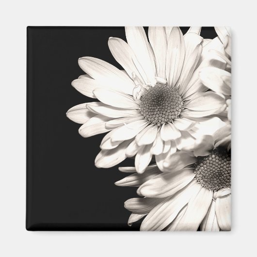 Daisies Magnet (Voorkant)