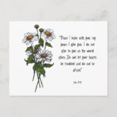 Daisies met bijbelversie: Gods vrede Briefkaart (Voorkant)
