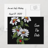 Daisies met lieveheersbeestjes: Bloemen: Save the Aankondigingskaart (Voorkant / Achterkant)