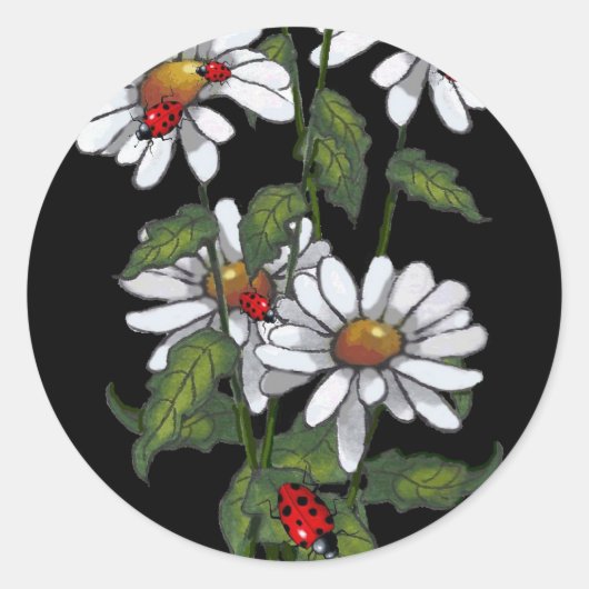Daisies met lieveheersbeestjes op zwart: kunst ronde sticker (Voorkant)
