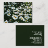 Daisies, mini-fotokaart visitekaartje (Voorkant / Achterkant)
