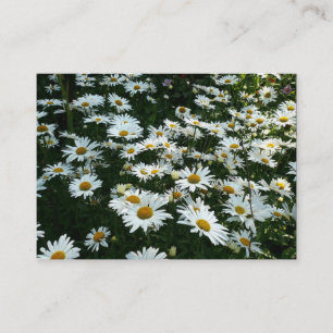 Daisies, mini-fotokaart visitekaartje