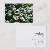 Daisies, mini-fotokaart visitekaartje (Voorkant / Achterkant)