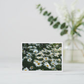 Daisies, mini-fotokaart visitekaartje (Staand voorkant)