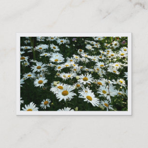 Daisies, mini-fotokaart visitekaartje