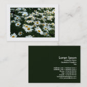 Daisies, mini-fotokaart visitekaartje (Voorkant / Achterkant)